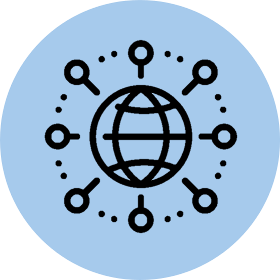 Network Icon